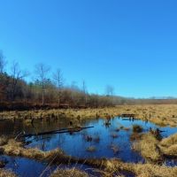 Waterfowl Tract