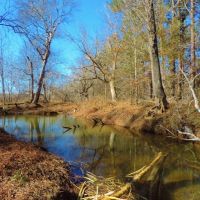 Waterfowl Tract images 2