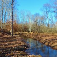 Waterfowl Tract images 3