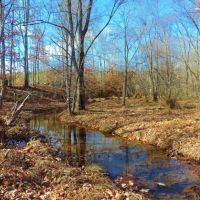 Waterfowl Tract images 5