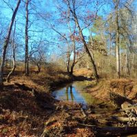 Waterfowl Tract images 6