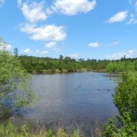 Timber Investment &nbsp; Hunting images 4