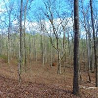 Redlands WMA Tract