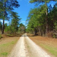 Redlands WMA Tract images 3