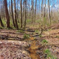 Redlands WMA Tract images 5