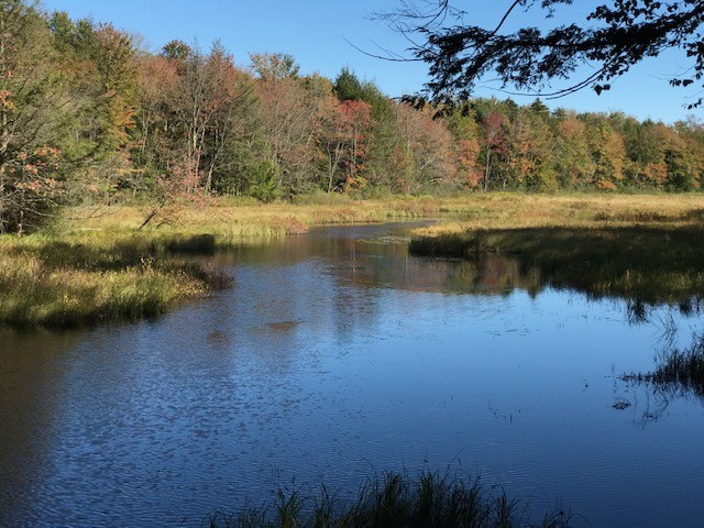 201 acres Waterfront Camp Lot Williamstown NY featured image