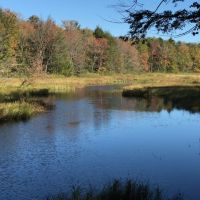 201 acres Waterfront Camp Lot Williamstown NY