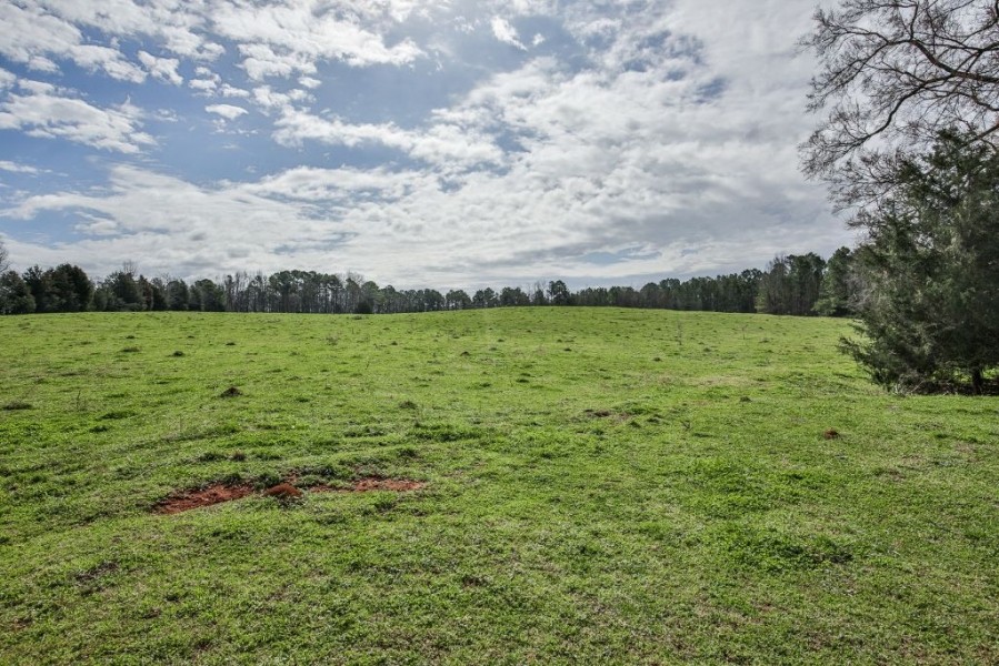 Cattle Farm w  Farm House featured image