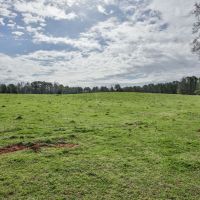 Cattle Farm w  Farm House