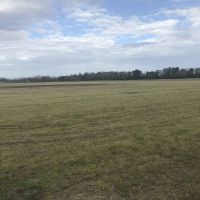 Open Farmland &nbsp; Timber images 2
