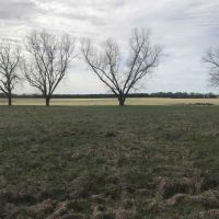 Open Farmland &nbsp; Timber images 3