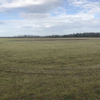 Open Farmland &nbsp; Timber images 4
