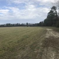 Open Farmland &nbsp; Timber images 5