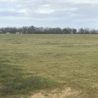 Open Farmland &nbsp; Timber images 6