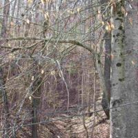 Unrestricted Hunting Land For Sale Hawkins County TN 37857