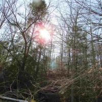 Unrestricted Hunting Land For Sale Hawkins County TN 37857 images 3