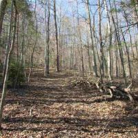 Unrestricted Hunting Land For Sale Hawkins County TN 37857 images 4
