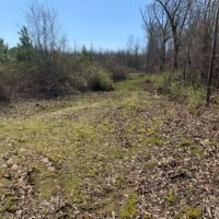 54.56 Acres in Rankin County in Lena  MS images 3
