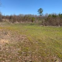 54.56 Acres in Rankin County in Lena  MS images 5