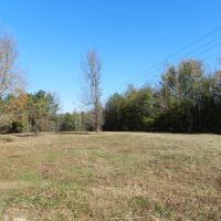 Beautiful Wooded Home Sites images 3