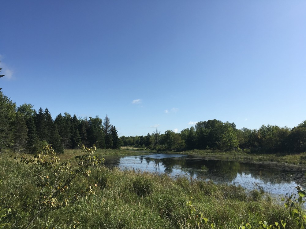 135 acres Hunting Land Dekalb NY featured image