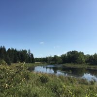 135 acres Hunting Land Dekalb NY