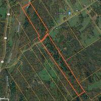 135 acres Hunting Land Dekalb NY images 3