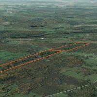 135 acres Hunting Land Dekalb NY images 5