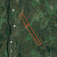135 acres Hunting Land Dekalb NY images 4
