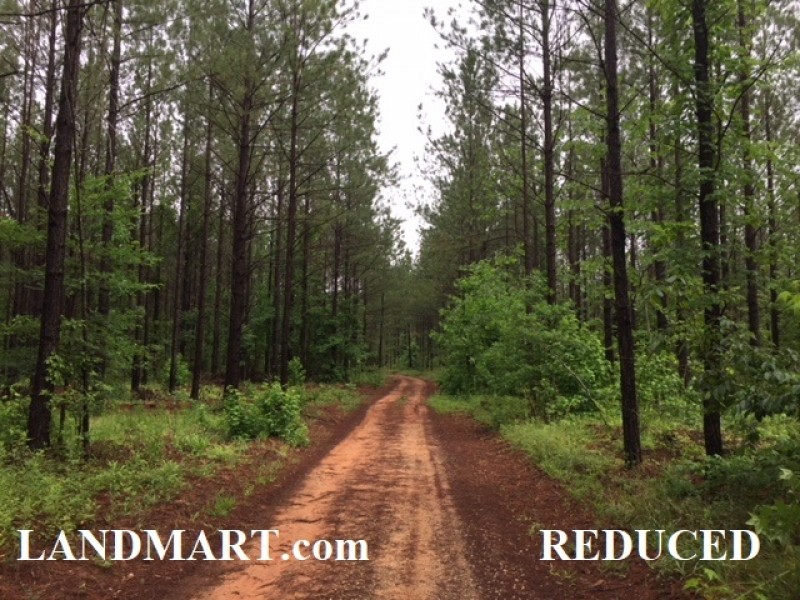 Excellent Hunting &nbsp; Timber - Reduced featured image