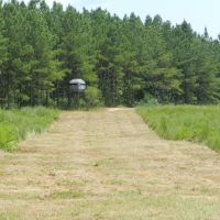 Excellent Hunting &nbsp; Timber - Reduced images 3