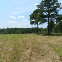 Excellent Hunting &nbsp; Timber - Reduced images 5