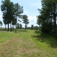 Excellent Hunting &nbsp; Timber - Reduced images 6