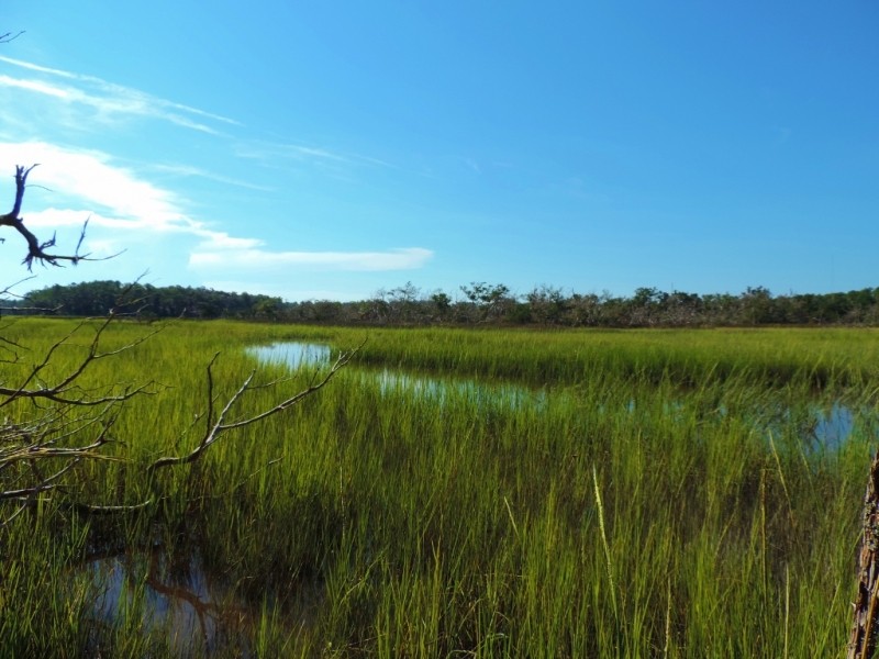 8 200 Ft. of Marsh Frontage featured image