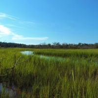 8 200 Ft. of Marsh Frontage