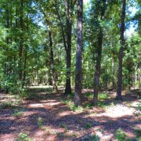 8 200 Ft. of Marsh Frontage images 2