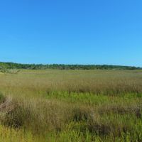 8 200 Ft. of Marsh Frontage images 3