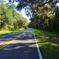 8 200 Ft. of Marsh Frontage images 4