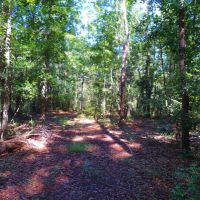 8 200 Ft. of Marsh Frontage images 5