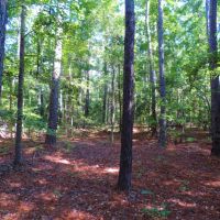 8 200 Ft. of Marsh Frontage images 6