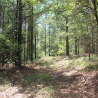 Small Secluded Hunting Tract images 2