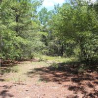 Small Secluded Hunting Tract images 4