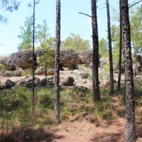 Small Secluded Hunting Tract images 5