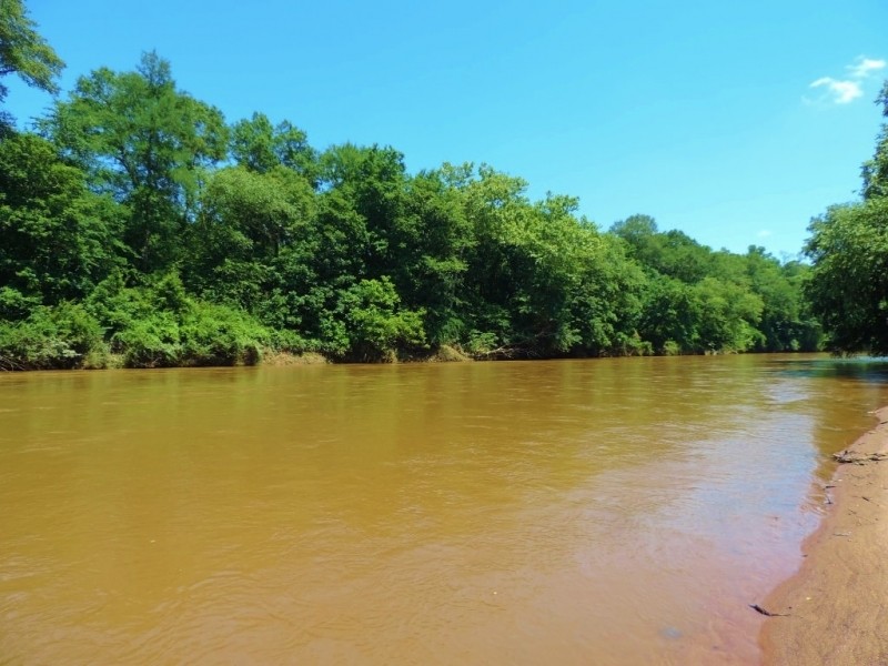 3 800 Ft. of Broad River Frontage featured image