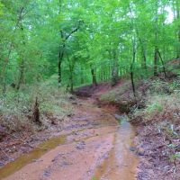3 800 Ft. of Broad River Frontage images 2