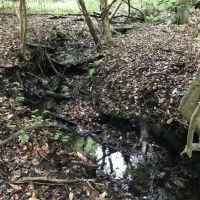 Hunting  Timber  and Creek images 4