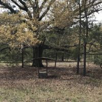 Hunting  Timber  and Creek images 6