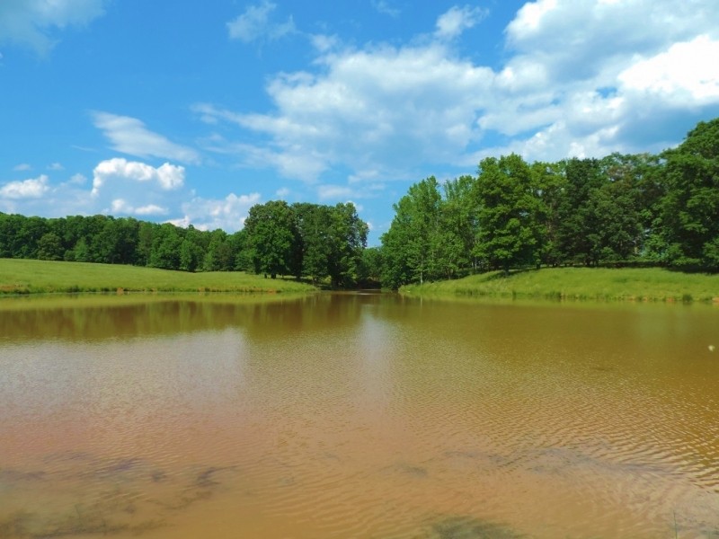 Cattle Farm with 2 Ponds featured image