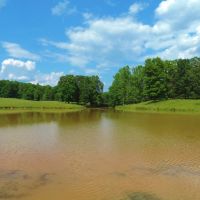 Cattle Farm with 2 Ponds