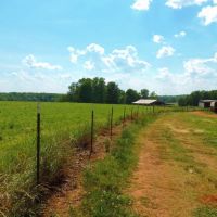 Cattle Farm with 2 Ponds images 4
